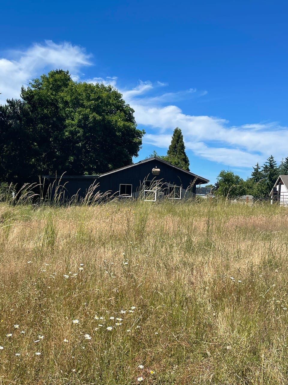 Barn on property viewable from back of house 
