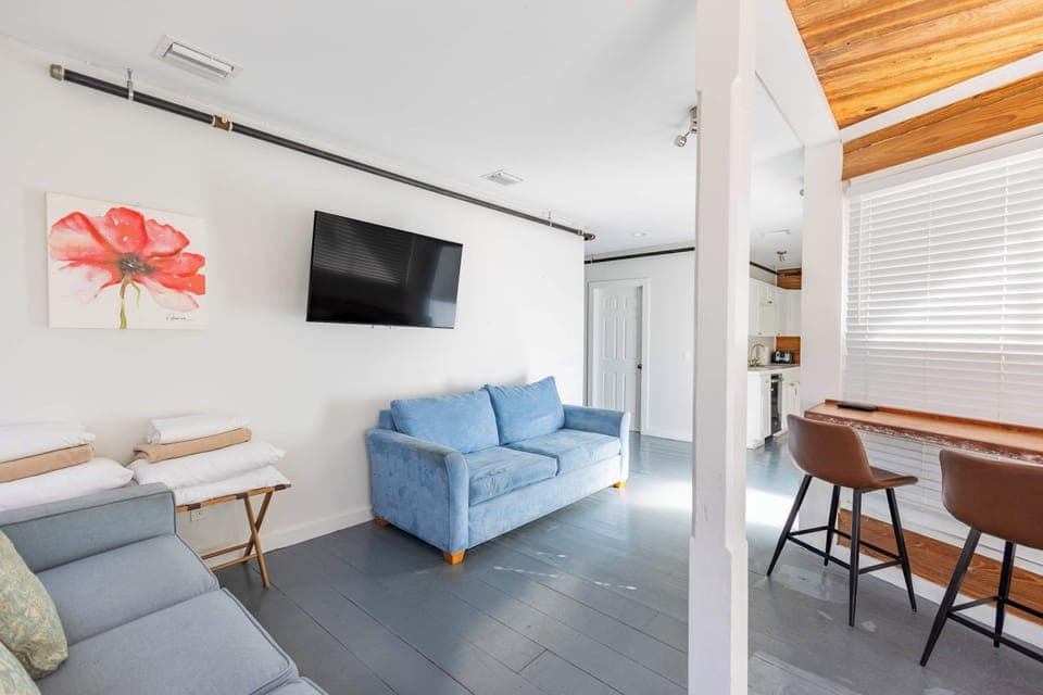 2 Sleeper Sofas