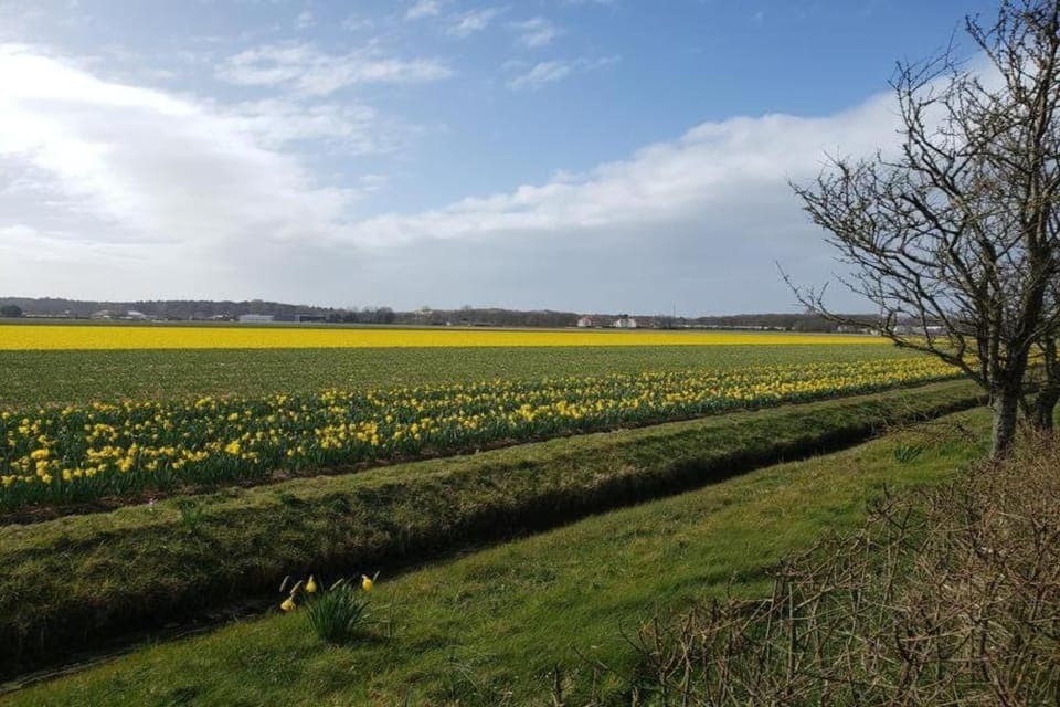 Surroundings [summer] (1-5 km)