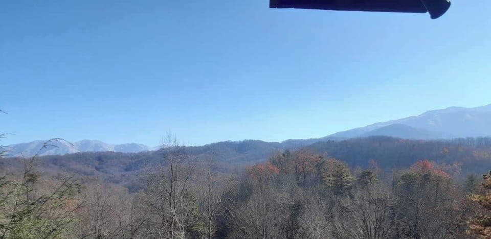 View from the back deck