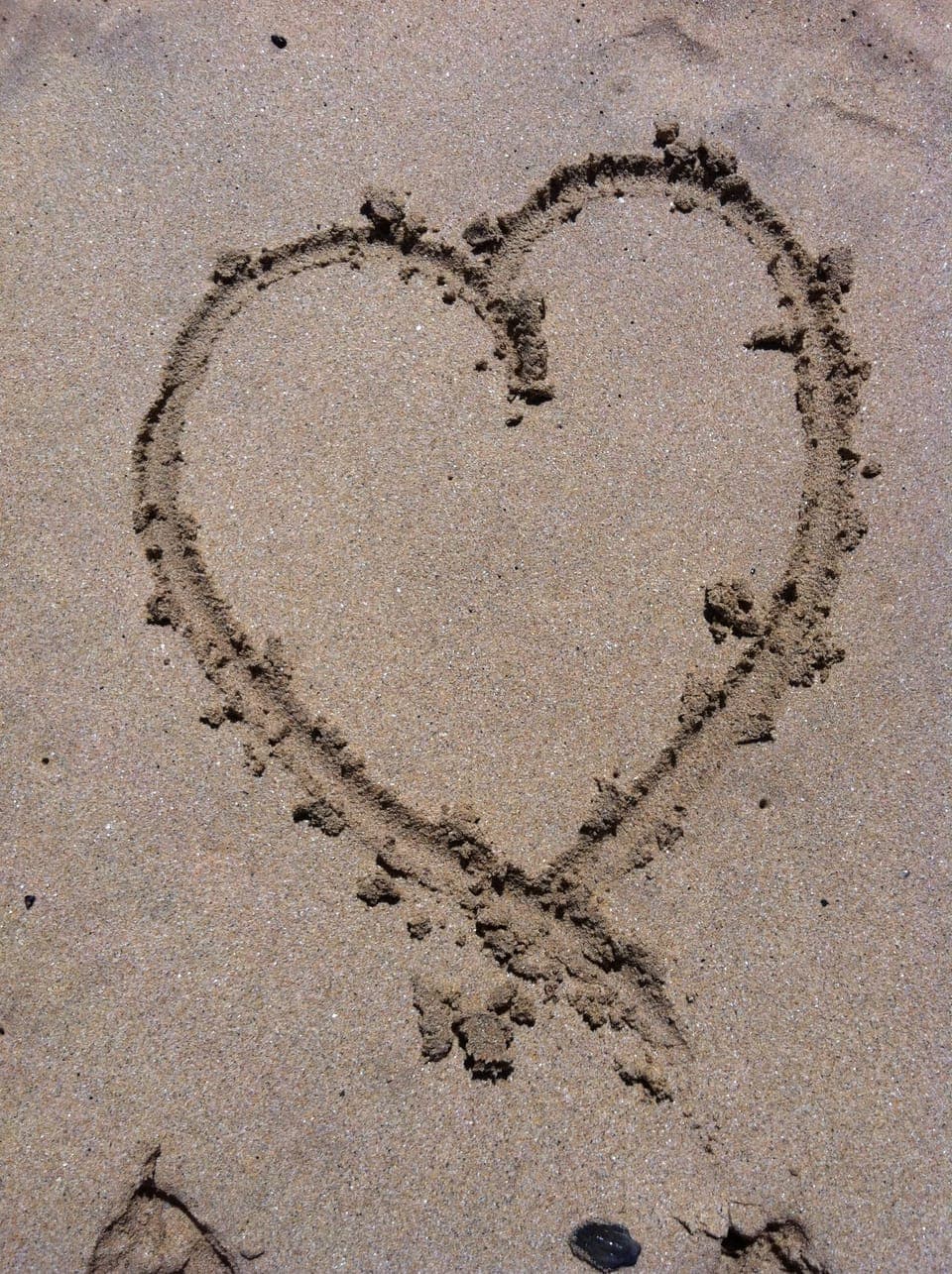 You'll have a great time!