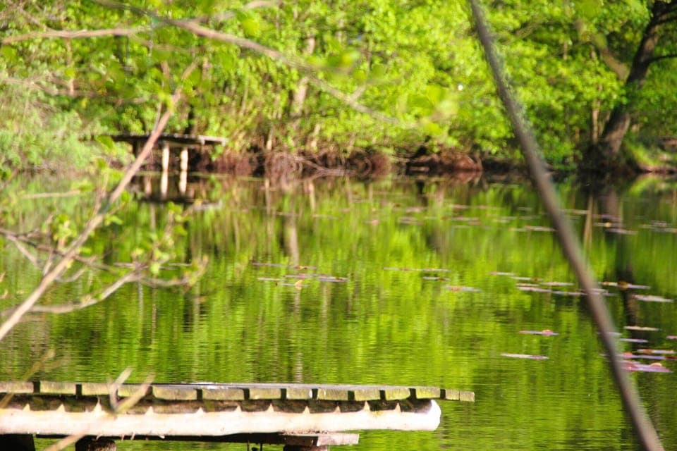 Immediate Surroundings [summer] (<1 km)