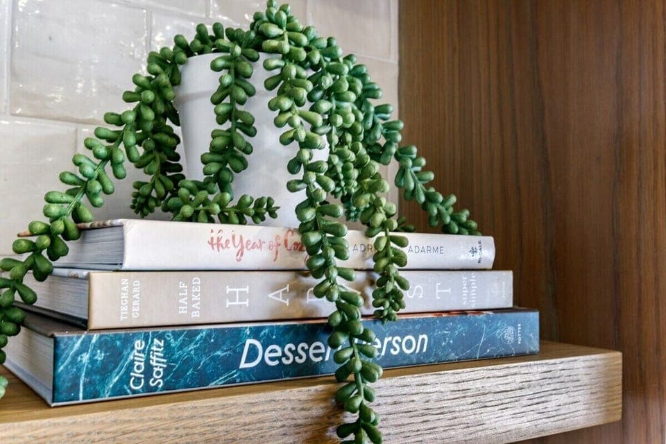 We have plenty to choose from!