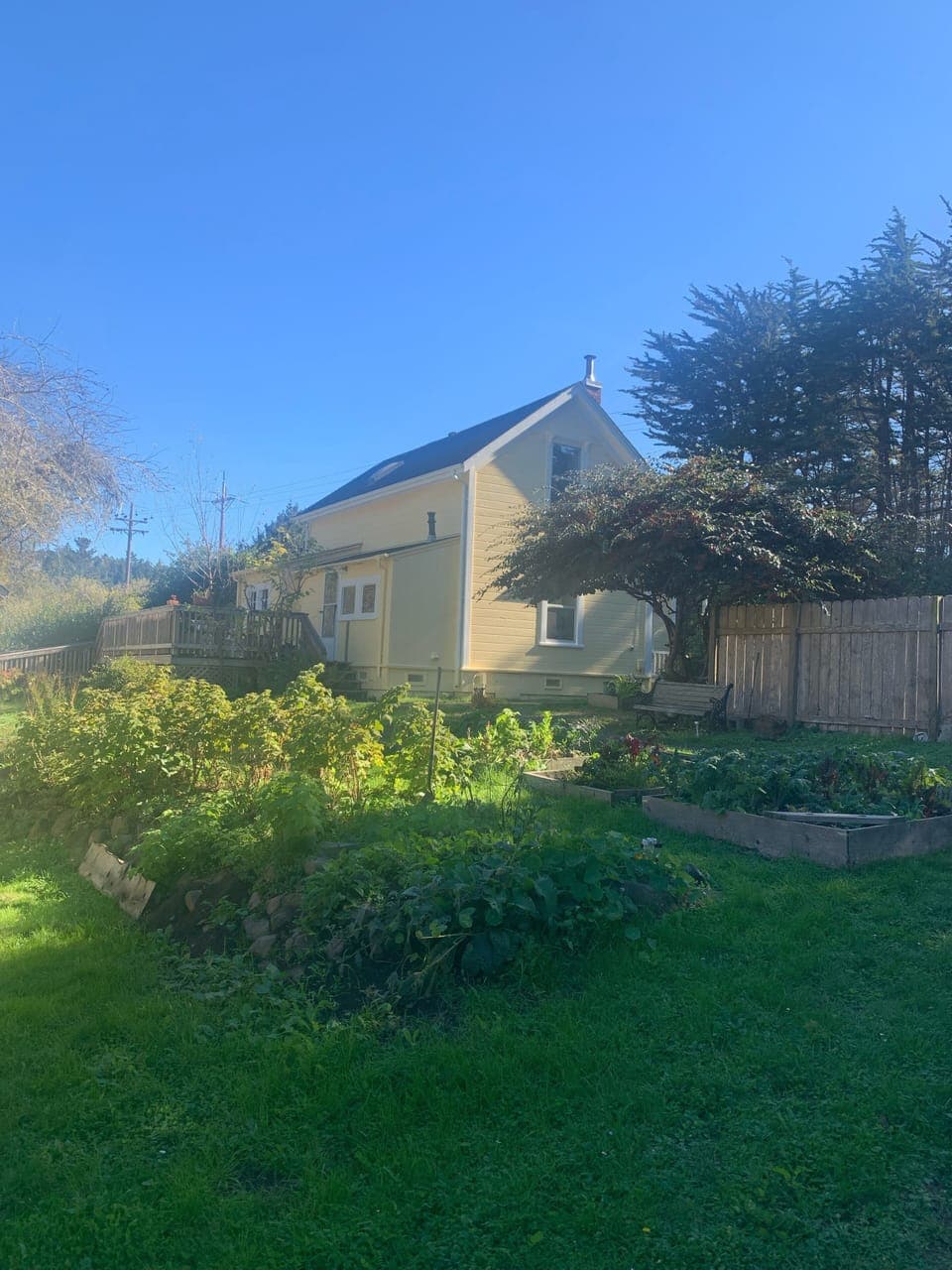 Your cozy Mendocino home!