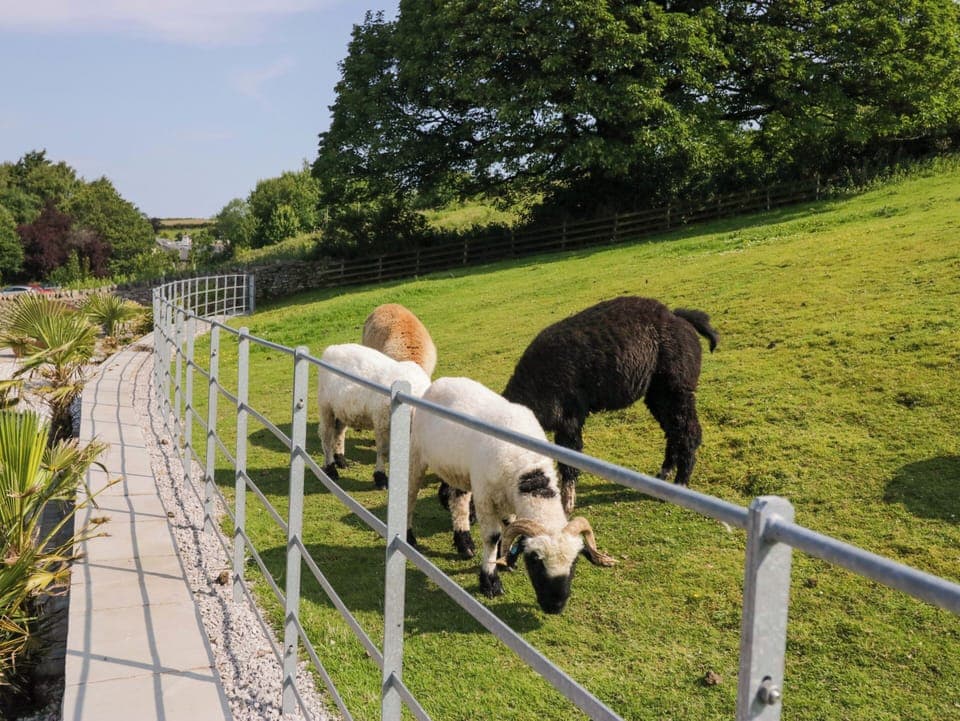 Cottage | Miscellaneous