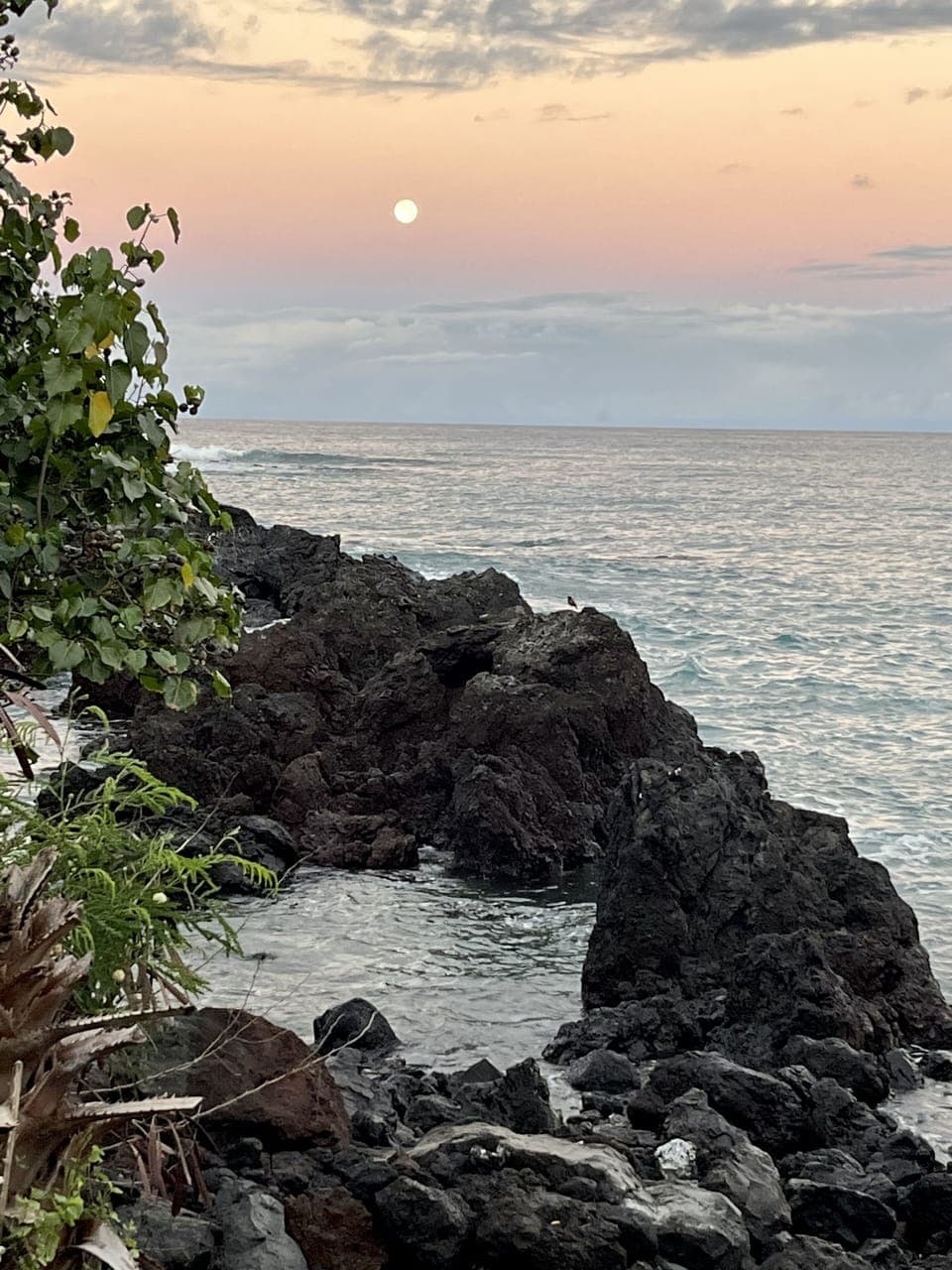 Moon setting at sunrise (!)