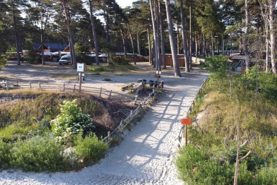 Immediate Surroundings [summer] (<1 km)