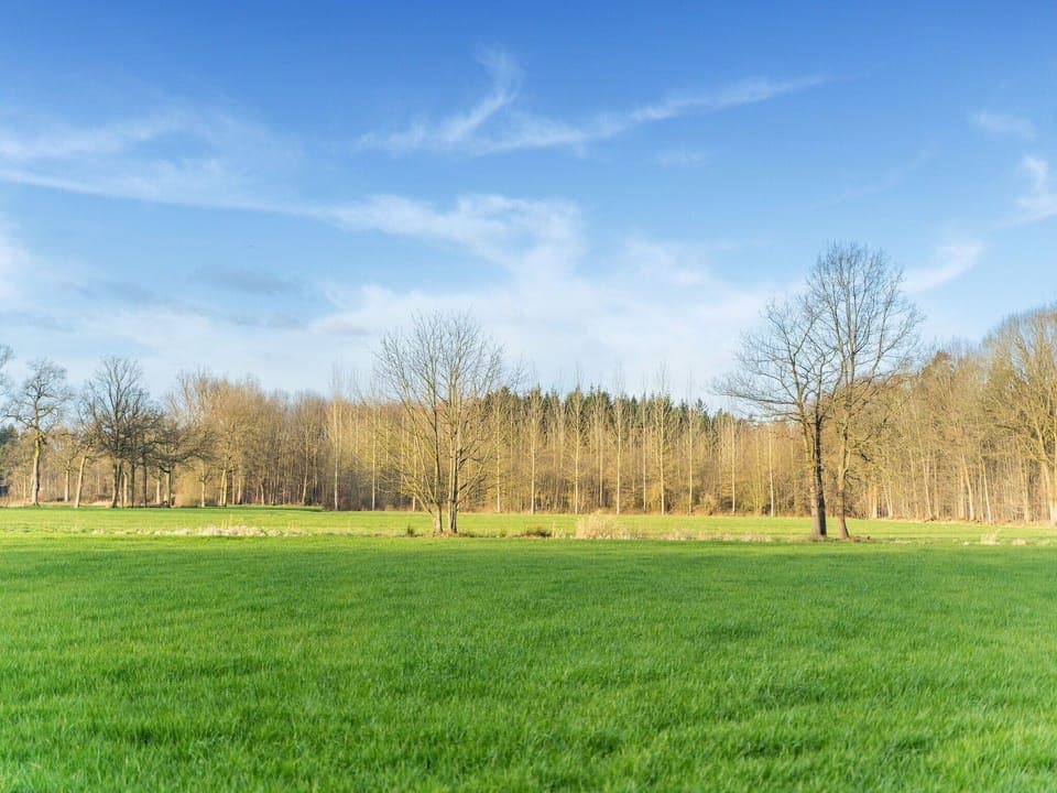 Surroundings [summer] (1-5 km)