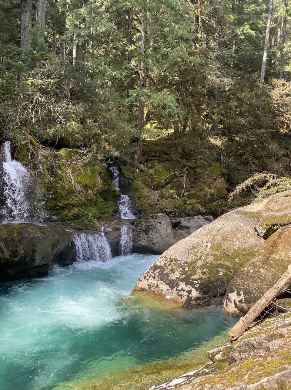 Hidden waterfall 10 min away in Mt. Rainier national park