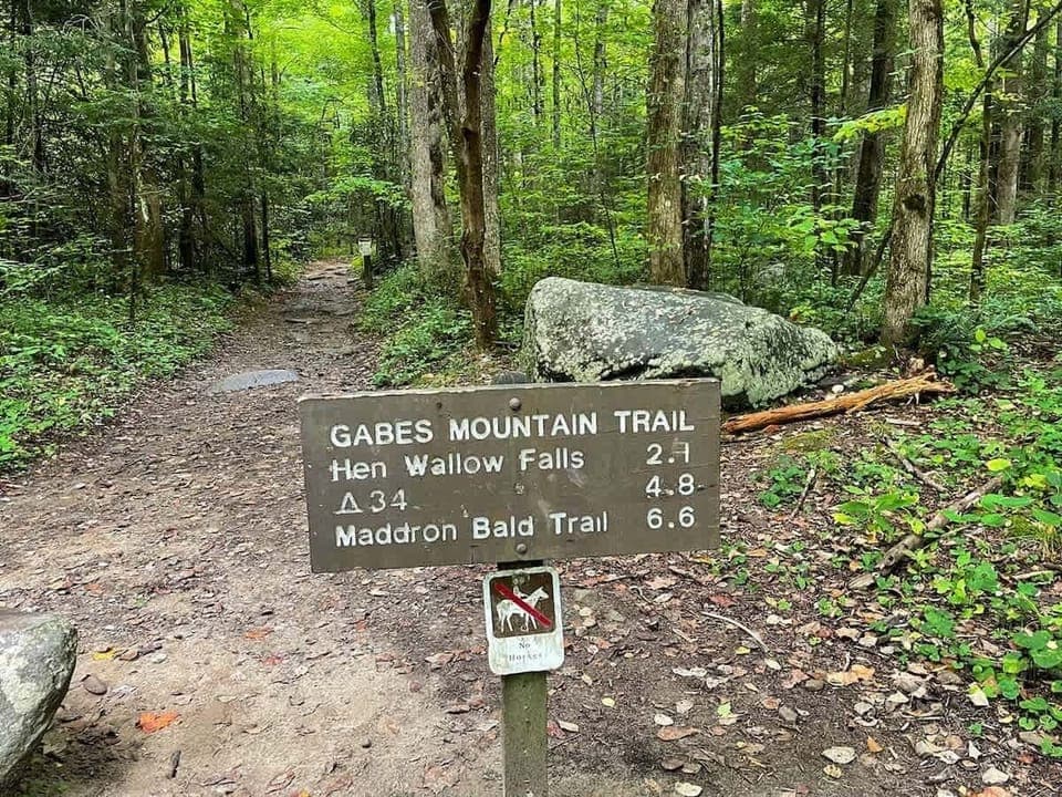 Scenic trails 5–10 minutes away—discover the park’s lofty beauty.