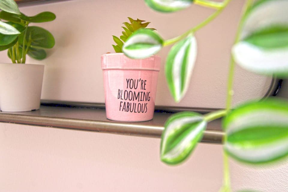 Family House | 5 bedrooms, Egyptian cotton sheets, premium bedding