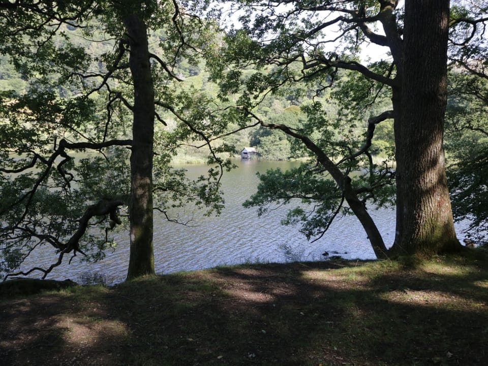 Cottage | Property grounds