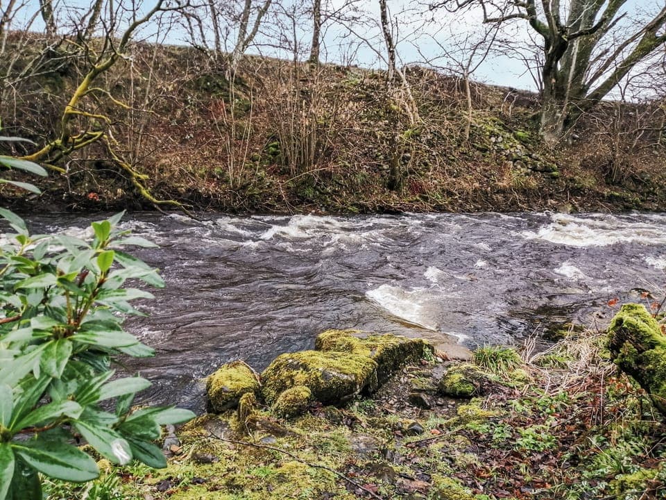 Surrounding area | Weavers Cottage, Aberfeldy