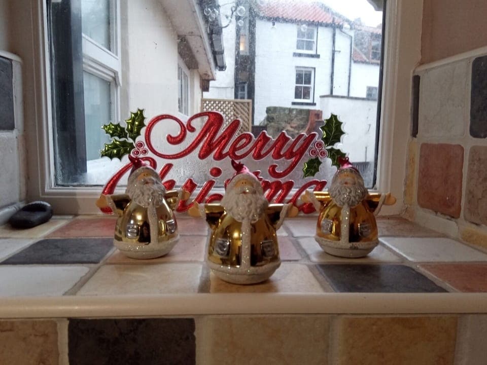 Christmas Kitchen Window