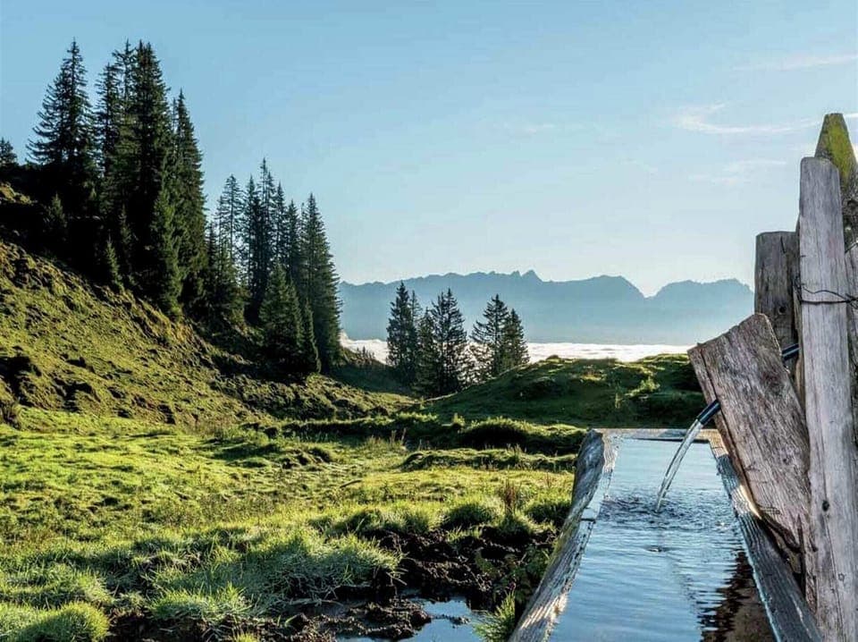 Surroundings [summer] (1-5 km)