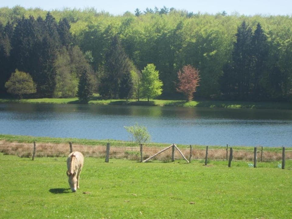 Region [summer] (>5 km)