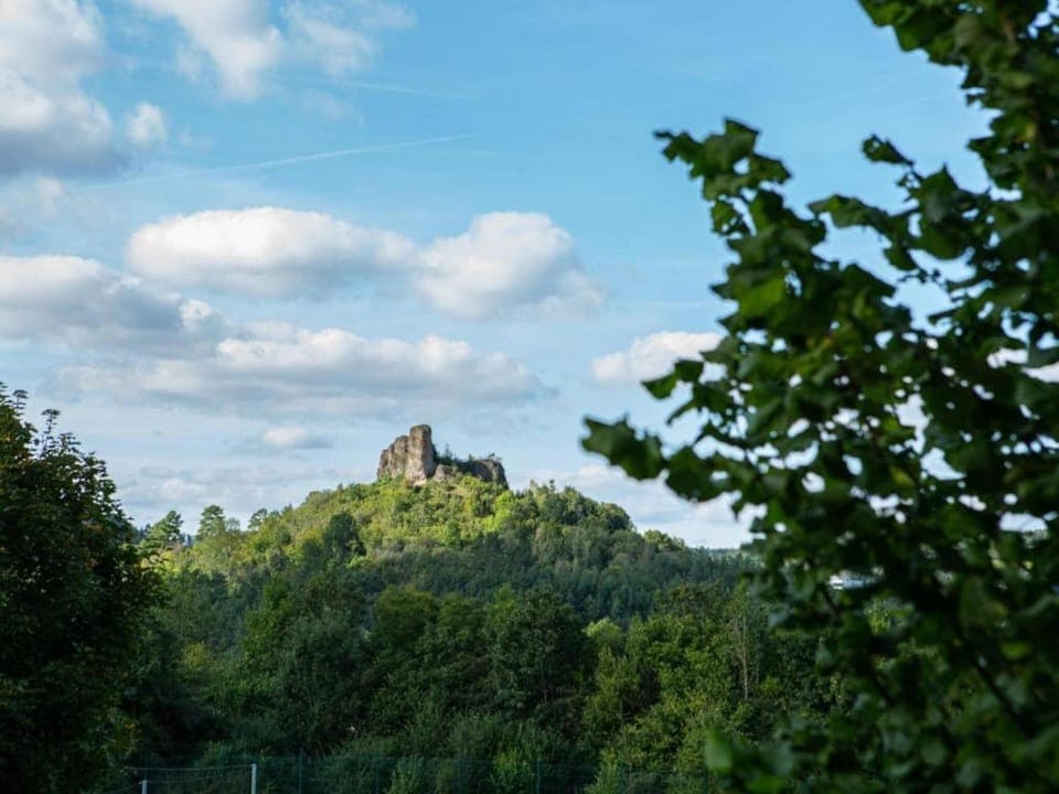 Region [summer] (>5 km)