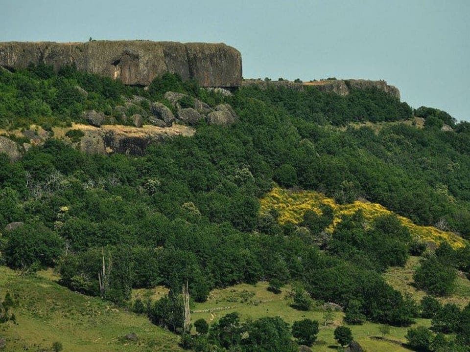 Immediate Surroundings [summer] (<1 km)