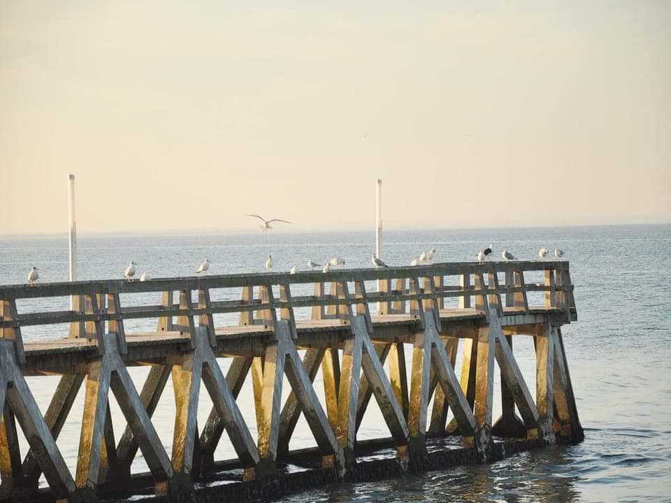 Surroundings [summer] (1-5 km)