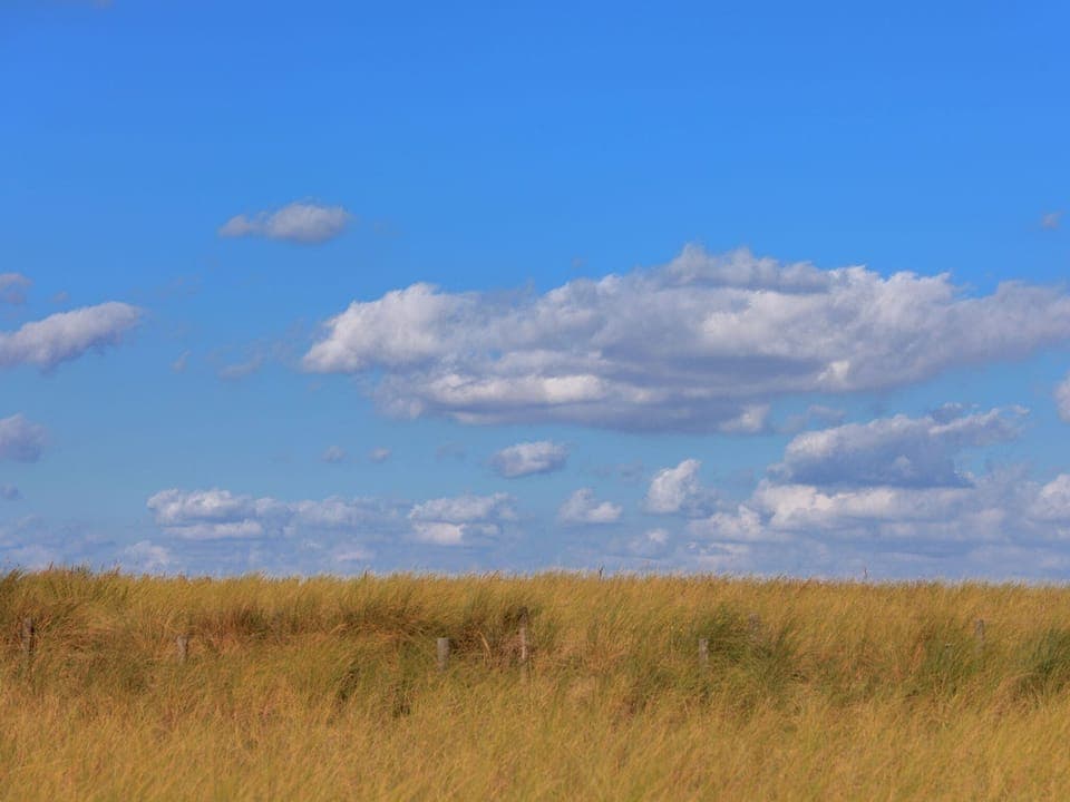 View from Holiday Home [summer]