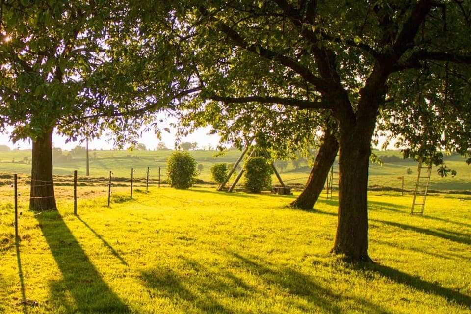 View from Holiday Home [summer]