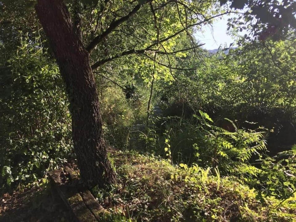 Region [summer] (>5 km)