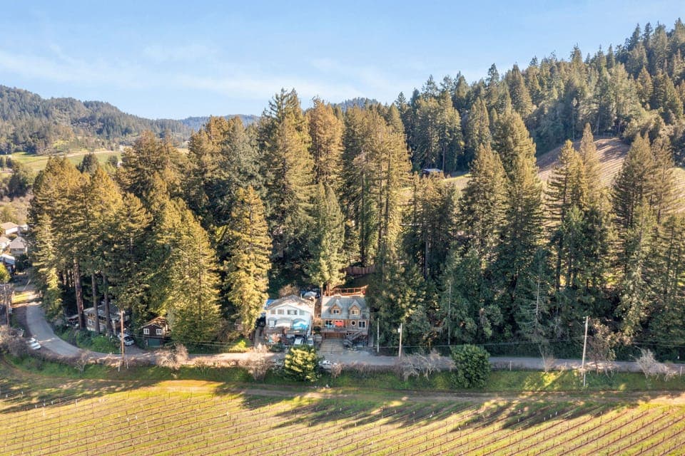 Expansive views of vineyard and redwood-covered hills.