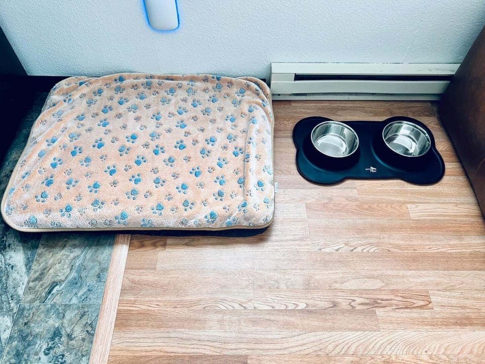 We are dog friendly. We include a dog bed and water and food bowls for your pup.