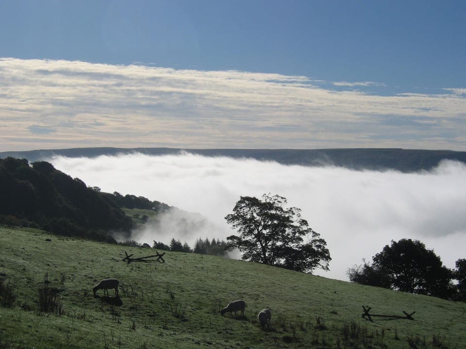 Cottage | Miscellaneous