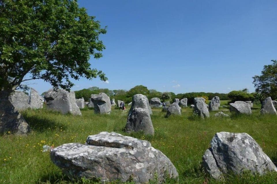 Region [summer] (>5 km)