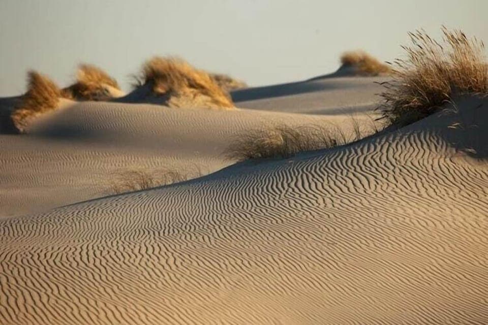 Surroundings [summer] (1-5 km)