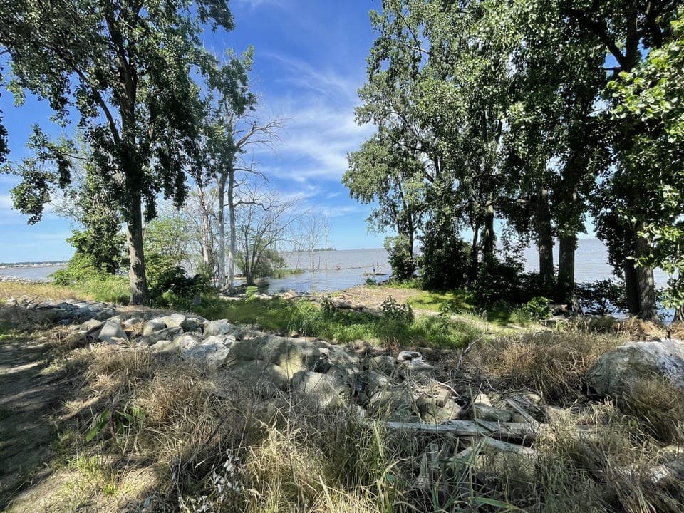 View from top of the steps 