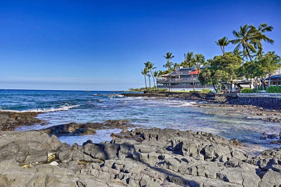 Tropical, Palm Tree, Tree, Water, Outdoors