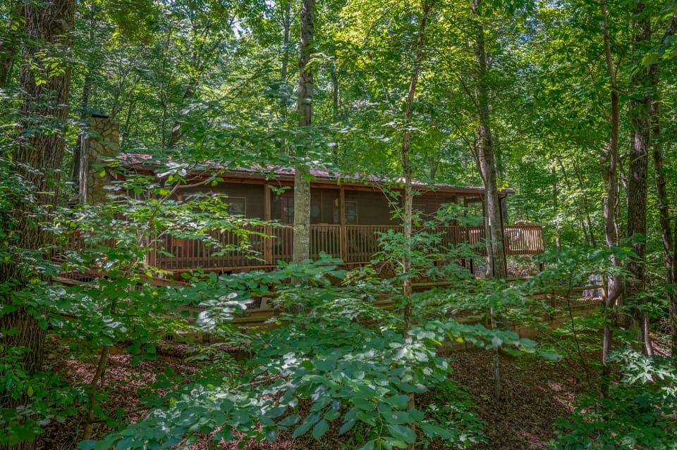 The Cabin in the Woods