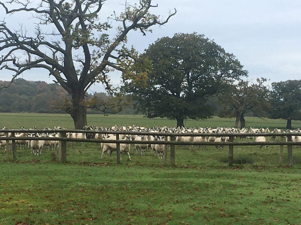 Studio | Property grounds