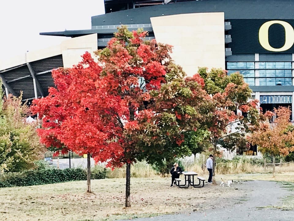 Less than 0.5 miles from Autzen Stadium, PK Park, kayak/SUP, bike paths nearby