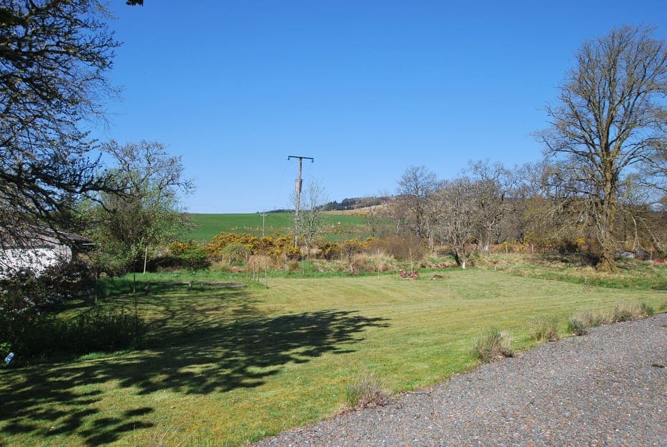 Another view of the garden