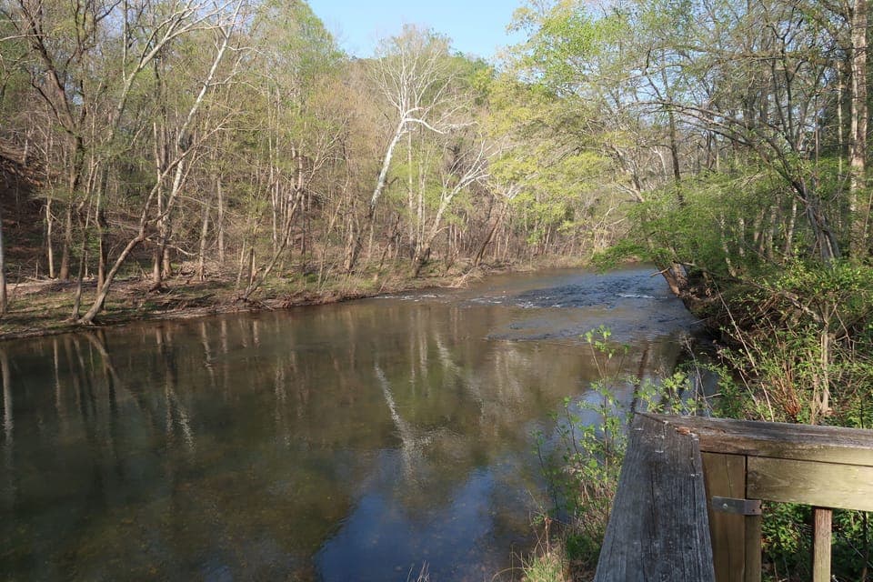 View from deck