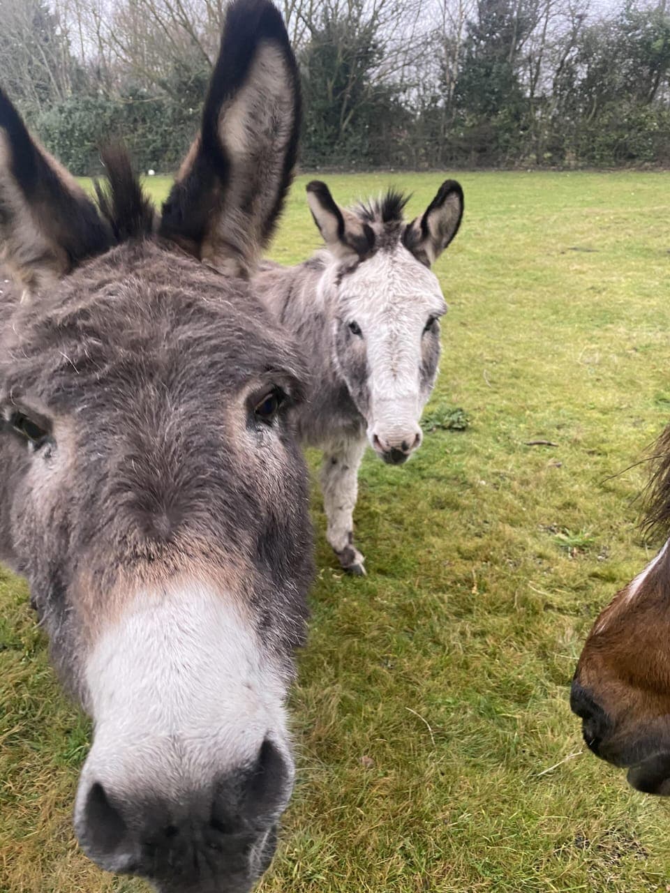 Deluxe Room, Private Bathroom, Lake View | Point of interest