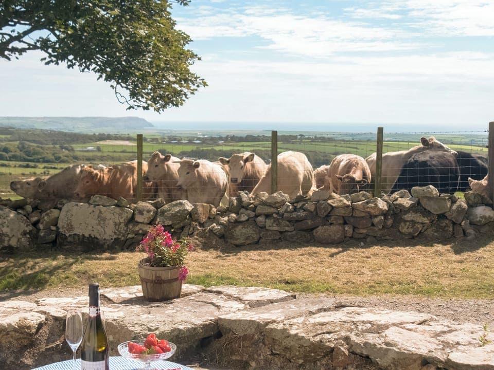 Outdoor area | Bwlchgroes, Llaniestyn, near Abersoch