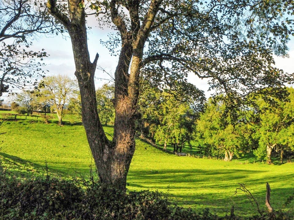 Outdoor area | Croft Y Beudy, Aberaeron