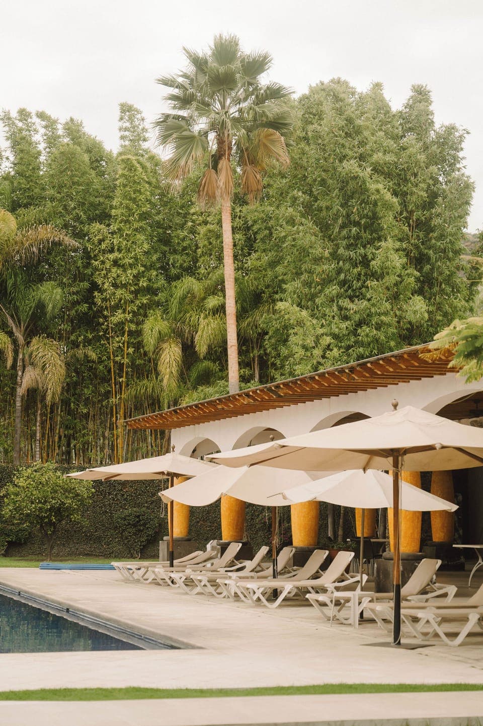 32-inch Smart TV with digital channels, TV