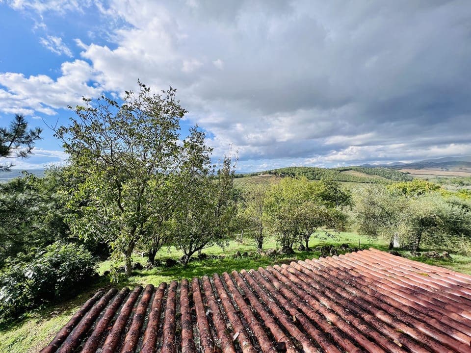 Views from our terrace