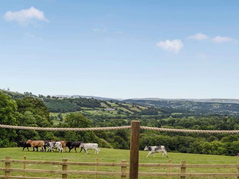 View | Valley View - Bwlchmaenllwyd Farm Holiday, Cilycwm, near Llandovery