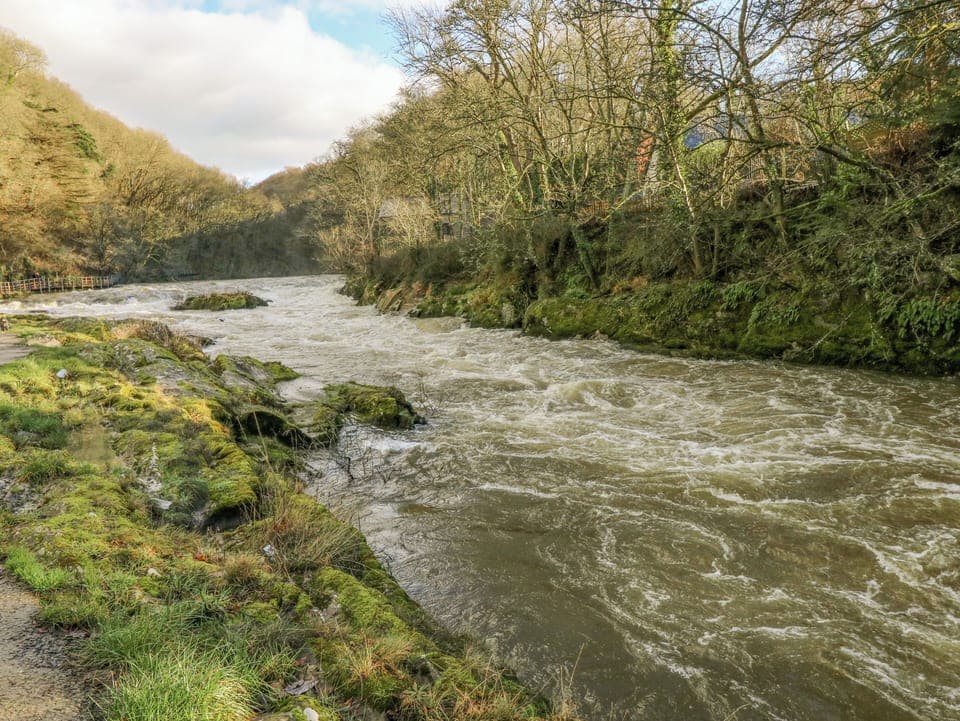 Cottage | Miscellaneous