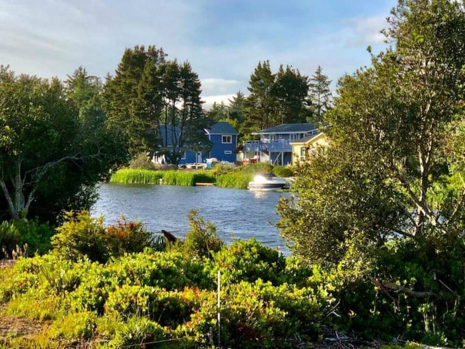 Morning views off the back patio