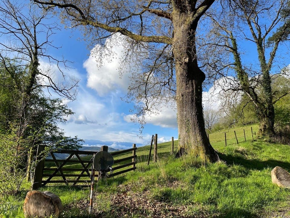 View of field behind Garden cottage