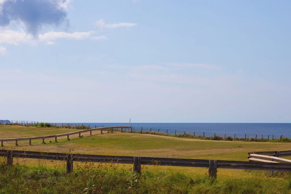 Cottage | Miscellaneous