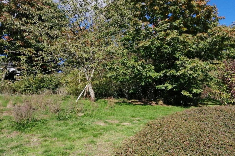 Surroundings [summer] (1-5 km)