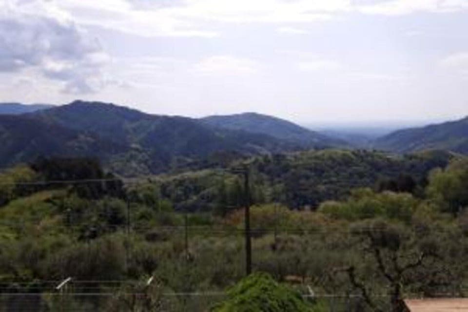 Region [summer] (>5 km)